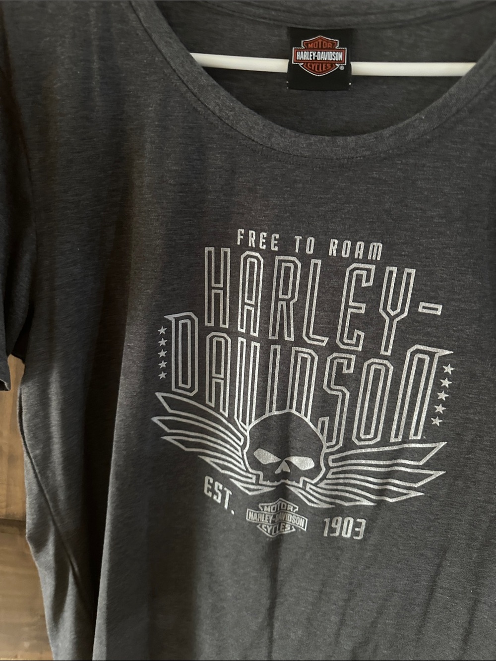 Harley-Davidson Gray Graphic Skull Tee